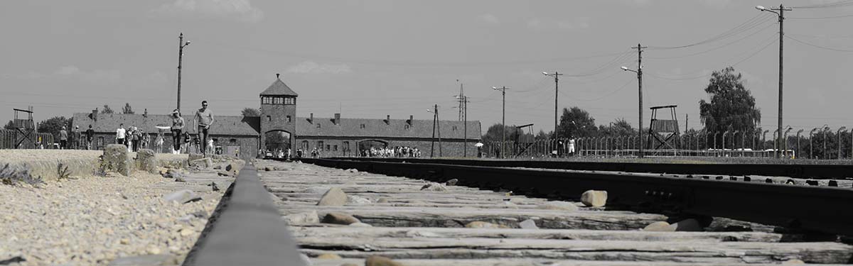 Auschwitz visiter Cracovie