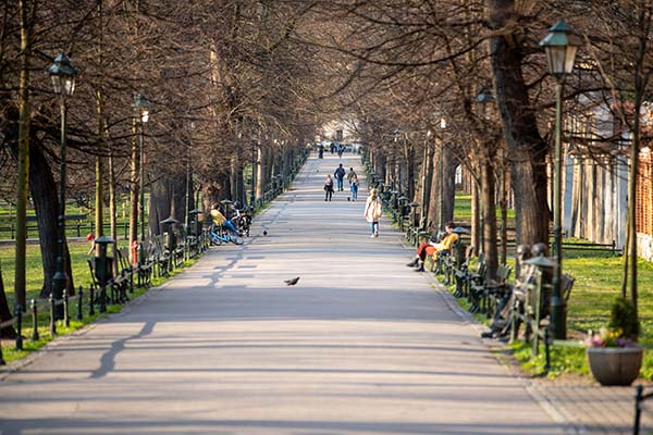 Parc de Cracovie Pologne