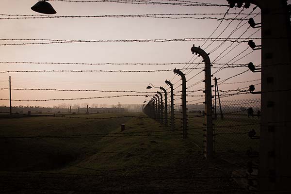 Auschwitz visites